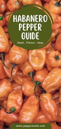 a pile of orange peppers with the words habanero pepper guide on top and below it