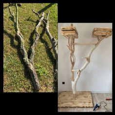 two pictures with different types of tree branches and one has a ladder attached to it