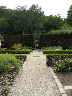 a garden with many different types of flowers and plants in it's center area