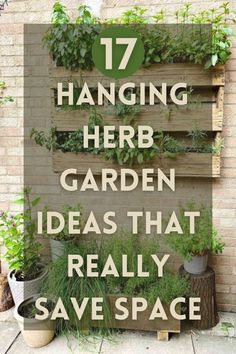 the words hanging herb garden ideas that really save space