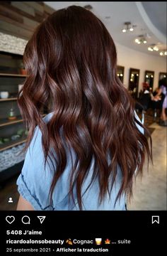 Rich Brown Red Hair Color, Rich Auburn Hair Color Dark Brown, Brunette With Hint Of Red, Chocolate Brown Auburn Hair, Cherry Mocha Hair Color, Dark Auburn Balayage Brunettes, Auburn Dark Hair, Dark Auburn Brown Hair Color, Solid Chocolate Brown Hair Color