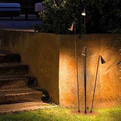 some lights that are on in the grass next to stairs and bushes at night time