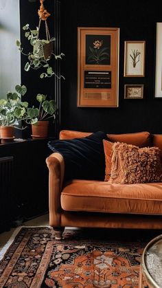 a living room filled with furniture and pictures hanging on the wall above an area rug