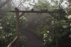 a path surrounded by trees and flowers on a foggy day in the woods with white roses