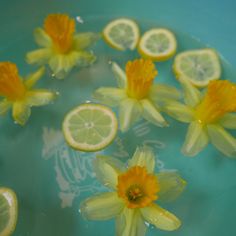 flowers and lemons are floating in water