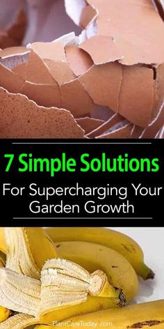 an egg shell and bananas with the words 7 simple solutions for supercharing your garden growth