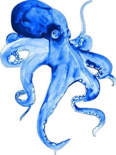 an octopus is painted in blue ink on white paper, and it looks like he's floating