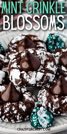 chocolate mint crinkle blossoms on a plate with green and white candy candies