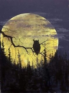 an owl sitting on a tree branch in front of a full moon