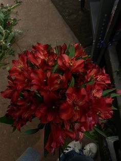 a vase filled with red flowers sitting on top of a table next to other plants