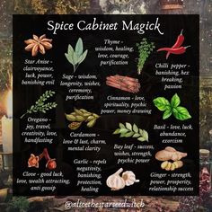 the spice cabinet magick poster is shown with different spices and herbs on it's side