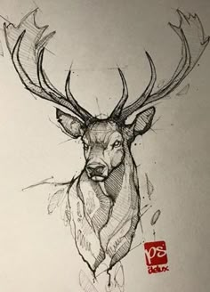 a drawing of a deer with antlers on it's head