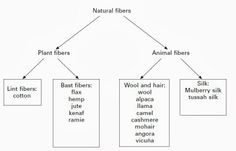 the diagram shows different types of hair