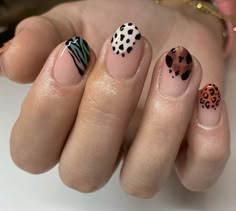 Pastel Animal Print Nails, Animal Print Gel Nails, Zoo Nails, Animal Print Uñas, Carey Nails, Animal Print Nails Art, Lash Lifting, Minimal Nails, Print Nails