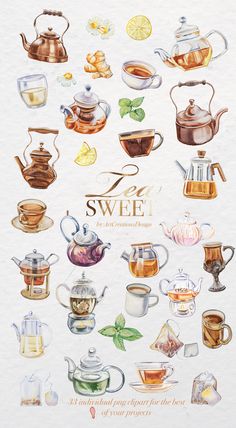 a watercolor drawing of different types of teapots