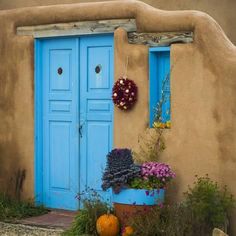 a potted plant next to a blue door