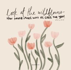 pink flowers with the words, look at the wildflowers how much more will he care for you