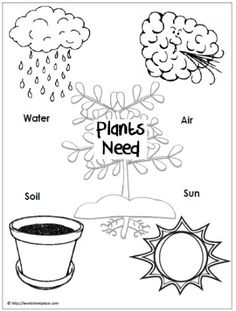 Use a graphic like this to guide a scientific inquiry: do plants really need all of these things? Have a control plant and then deprive plants of each of these to see whether these are needs and discuss why. CJ Plants Kindergarten, Preschool Garden, Plant Activities, 1st Grade Science, Worksheet For Kids, Spring Preschool