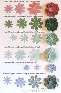 paper flowers arranged in different colors and sizes on a white background with text below them