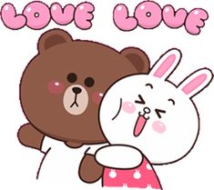 a brown bear hugging a white rabbit with the words love love on it's chest