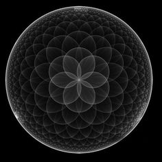 Sacred geometry Scared Geometry, Geometry Tattoo, Seed Of Life, Illustration Photo, Crop Circles, Geometry Art, Png Vector, Sacred Art, Flower Of Life