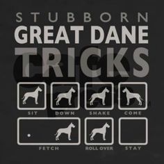 the poster for stubborn great dane tricks, which includes four different dogs and their names