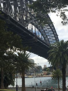 a large bridge spanning over a river with palm trees in the foreground and people walking on the sidewalk below