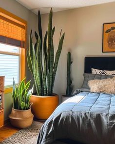 a bedroom with a bed, nightstand and plants in pots on the side of the bed