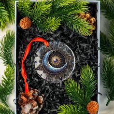 an ornament surrounded by pine cones and evergreens is displayed in a box