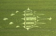 an aerial view of a green field with trees in the middle and white lines drawn on it