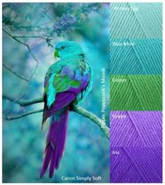 a colorful bird sitting on top of a tree branch next to purple and green yarn