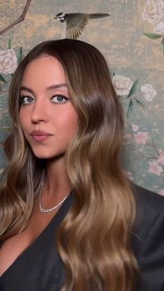 behindthechair.com on Instagram: "* Sweeney Sweet Blendssss ... 🎥@glencocoforhair + @jacobschwartzhair ❤️❤️❤️ —— we have returned 🫶🏼 @sydney_sweeney 🫶🏼  Hair: @glencocoforhair  Hair color: @jacobschwartzhair Extensions: @priscillavalles   celebrity, celebrityhair   Makeup: @melissa.hernandez Nails: @nailsbyzola Styled: @mollyddickson Tan: @gldnbyguycory" Sydney Sweeney Dark Hair, Sydney Sweeney Makeup Looks, Sydney Sweeney Makeup, Sydney Sweeney Hair, Sydney Sweeney, Hair Appointment, Celebrity Hairstyles, New Hair, Hair And Nails