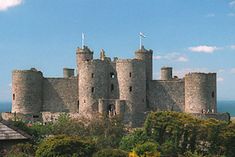 a castle with people walking around it on a sunny day near the water and trees