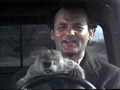 a man holding a groundhog in the back seat of a car