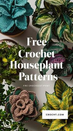 crochet houseplant patterns with text overlay that reads free crochet houseplant patterns