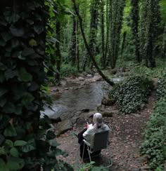 a person sitting on a chair in the middle of a forest next to a stream