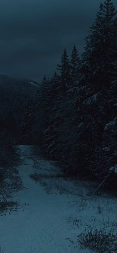 a snow covered field with trees in the background and a dark sky above it at night