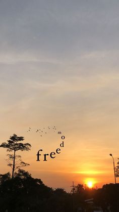 the sun is setting behind some trees and birds flying in the sky with words that read no to free