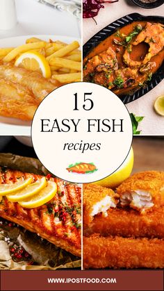 Find super healthy and easy dinner recipes right here. Create simple but delicious fish recipes using your favorite types of fish, such as salmon, snapper, or cod. These recipes are so versatile and flavorful that they only take a few minutes to make from common pantry ingredients. #theshyfoodblogger recipe tags: fish recipes, fried fish recipes, cod fish recipes, easy dinner ideas, quick dinner ideas, easy recipes, fish dinner ideas, salmon recipes, roast fish recipes, healthy recipes Fish Recipes Fried, Fish Recipes Easy, Healthy And Easy Dinner Recipes, Dinner Ideas Salmon, Delicious Fish Recipes, Dinner Ideas Easy Recipes