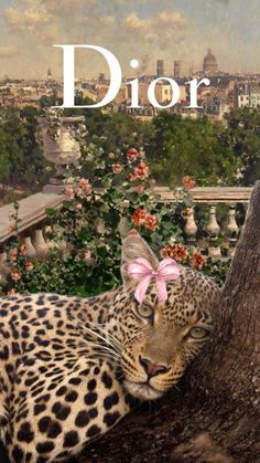 a leopard laying on top of a tree next to a lush green forest filled with flowers