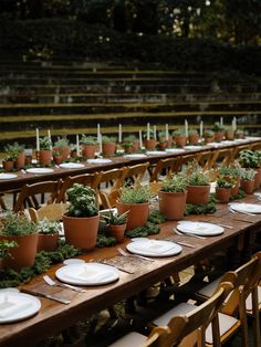 a long table with plates and plants on it