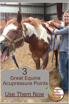 a woman standing next to a brown and white horse with the words 3 great equine acupress points use them now