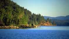 a body of water surrounded by trees and mountains