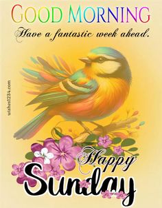 a colorful bird sitting on top of a flowery branch with the words good morning have a fantastic week ahead