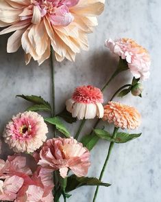 pink and white flowers on a marble surface