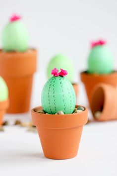 small cactus plants in clay pots with pink bows