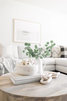 a living room with a white couch, coffee table and potted plant on it