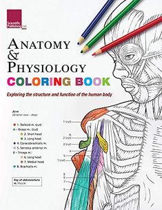 an anatomy and physoloy coloring book with two colored pencils on it