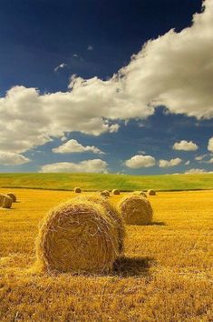 hay bales in an open field under a cloudy blue sky