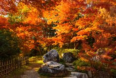 an autumn scene with colorful trees and rocks in the foreground, surrounded by a wooden fence